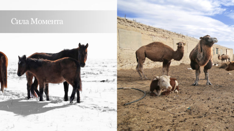 artworks of eurasia exhibition and charity auction_slideshow_5RU